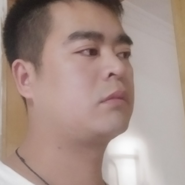 玫瑰我们的的照片