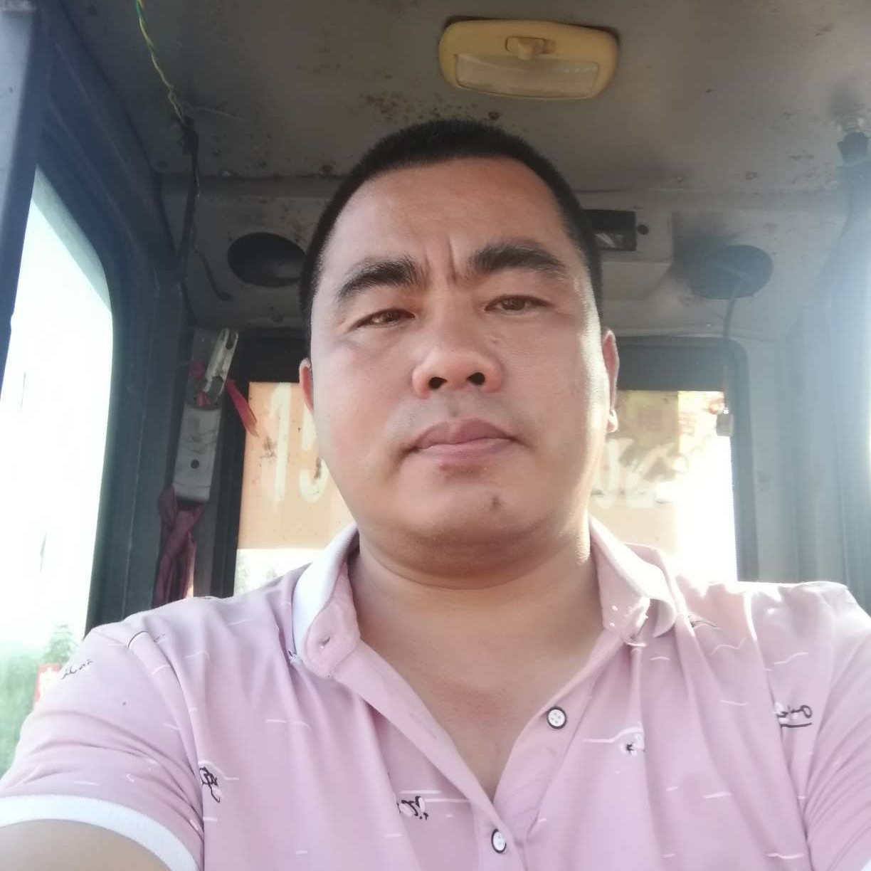 辉煌雄鹰的照片