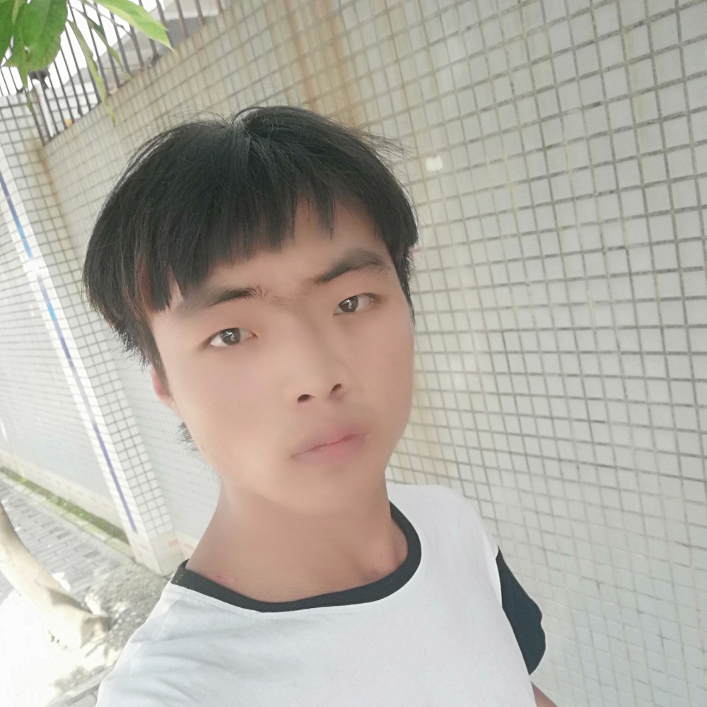 蝶舞迷人的照片