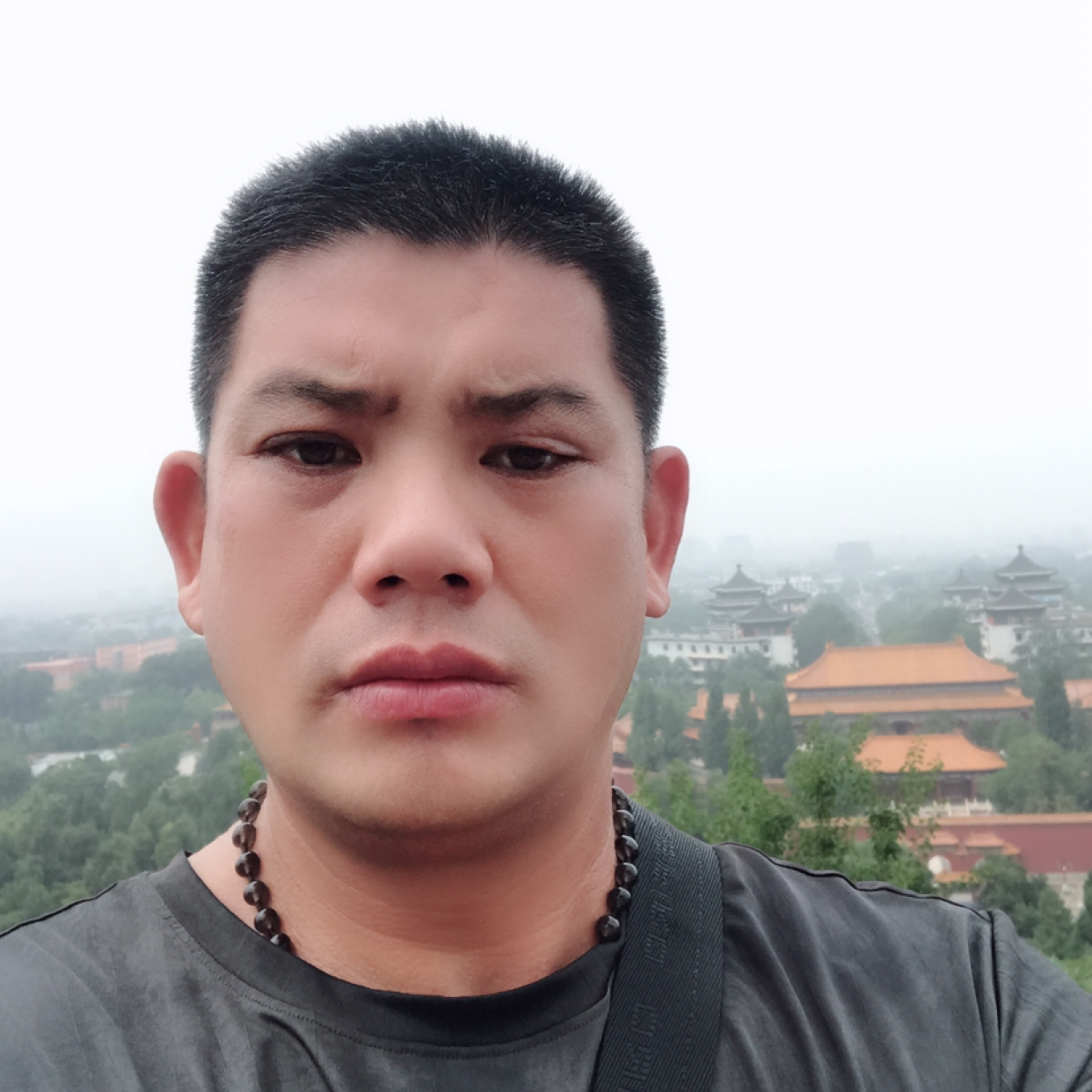 鸵鸟放弃高贵啊斌的照片