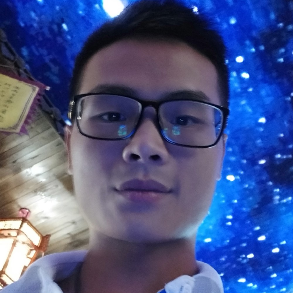 凤竹的照片