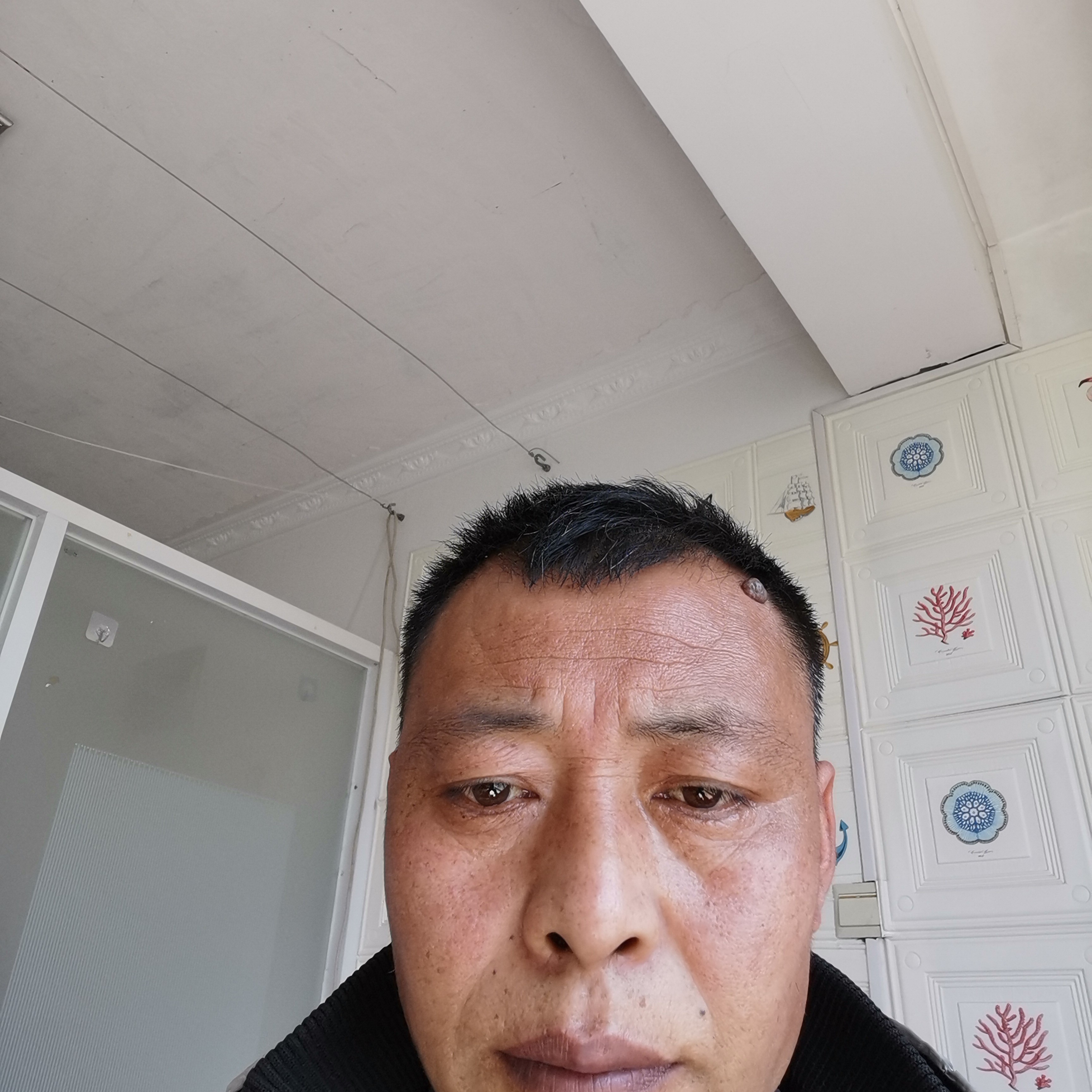春天完美的照片