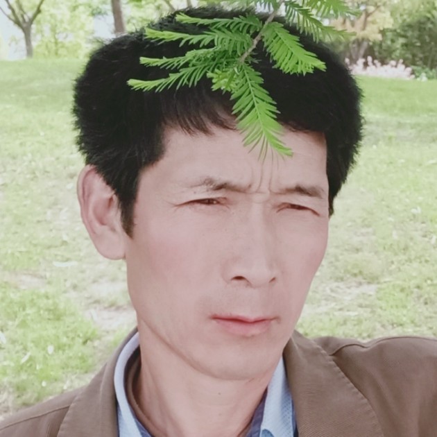 枕头粗暴的照片