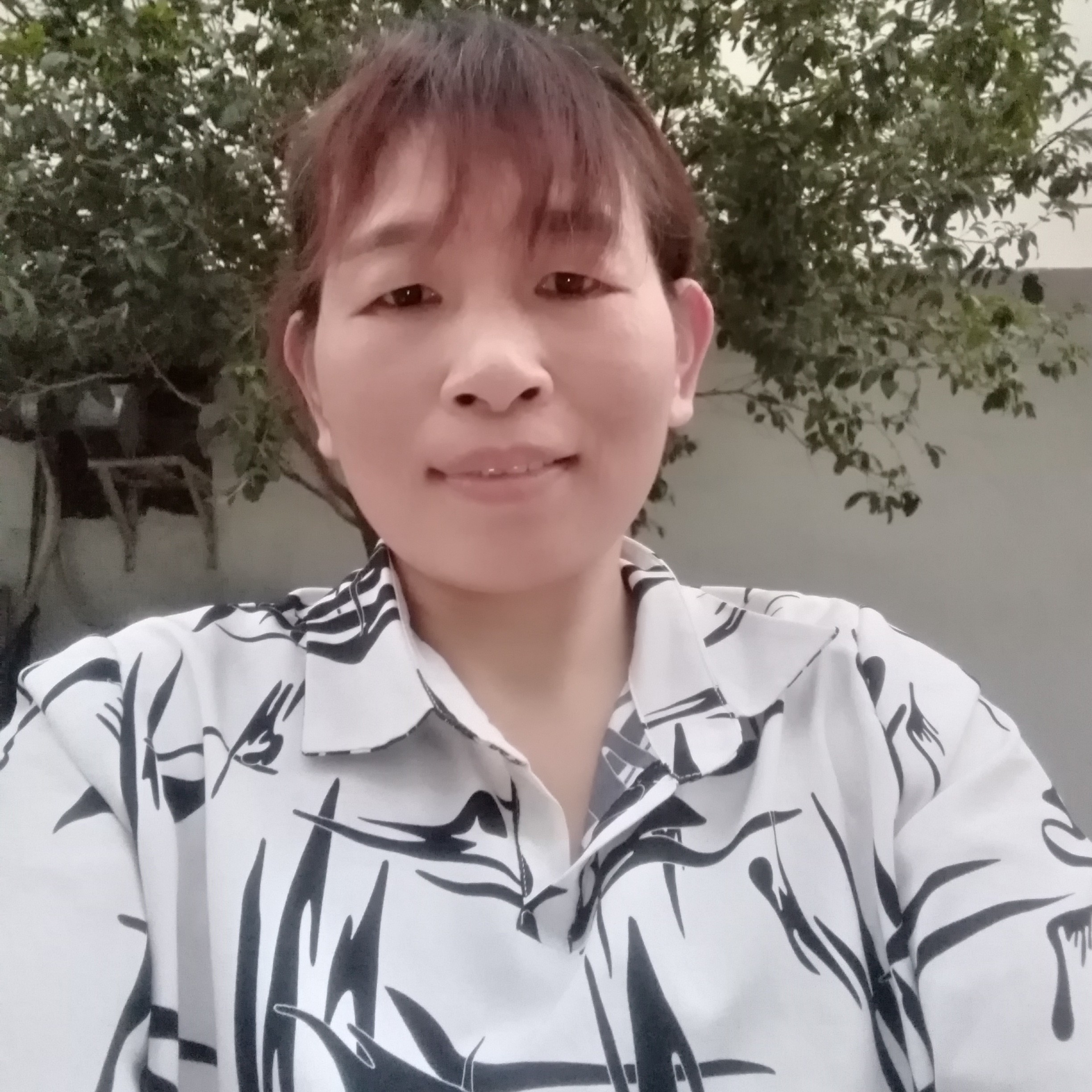 晨曦爱光亮的照片
