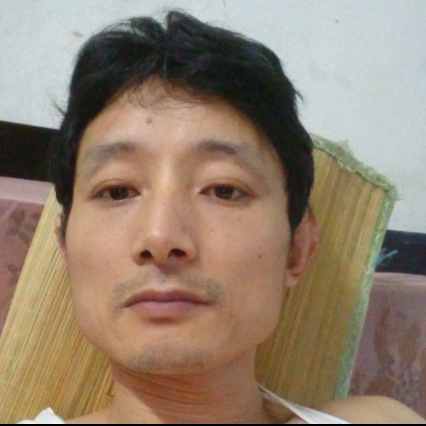 快乐的猫ok的照片
