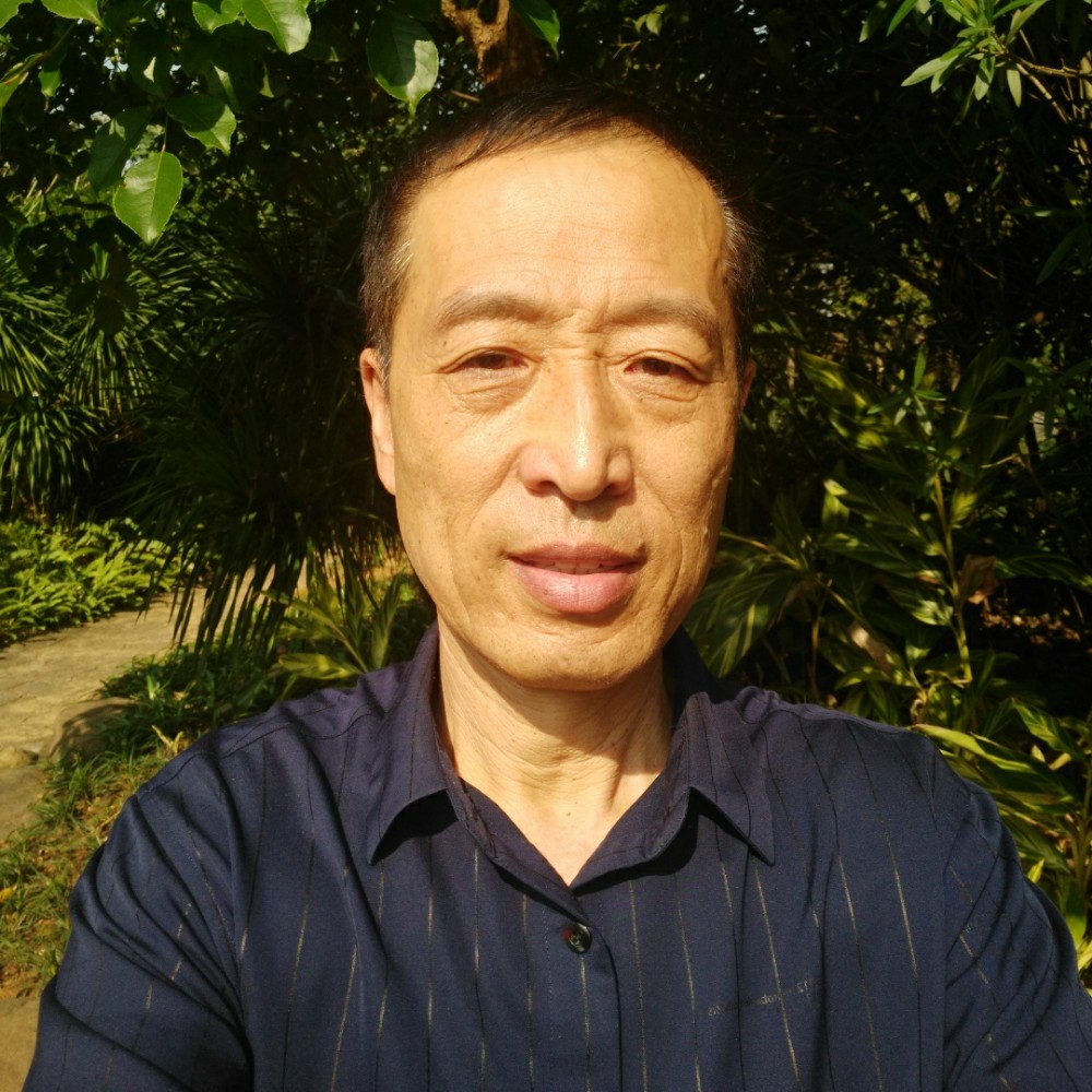 皮带用无垠的照片