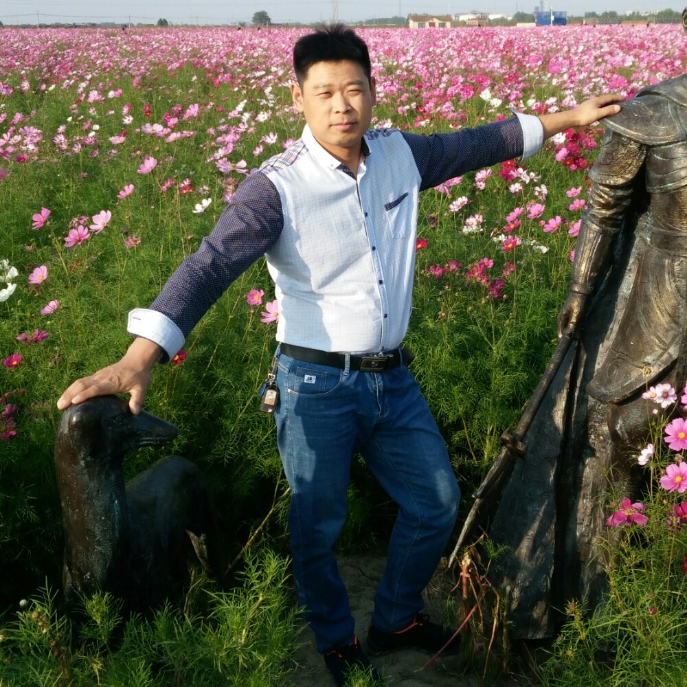踏实河马的照片