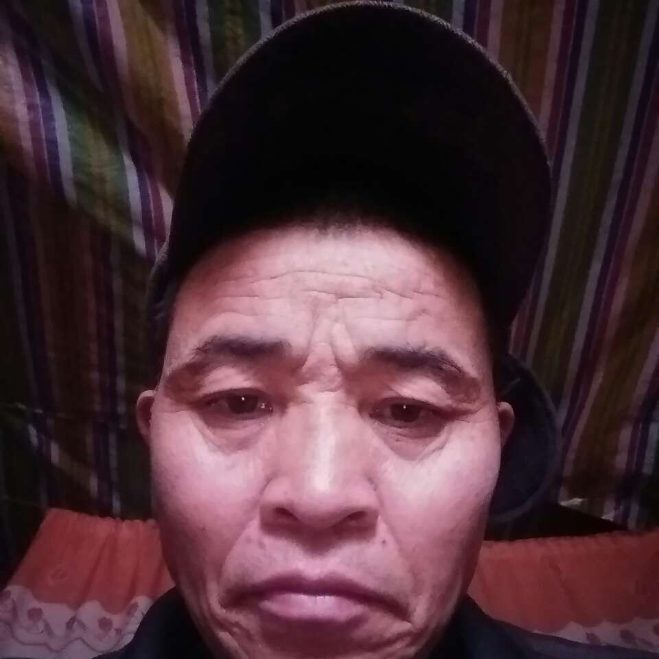 飞黄人生的照片