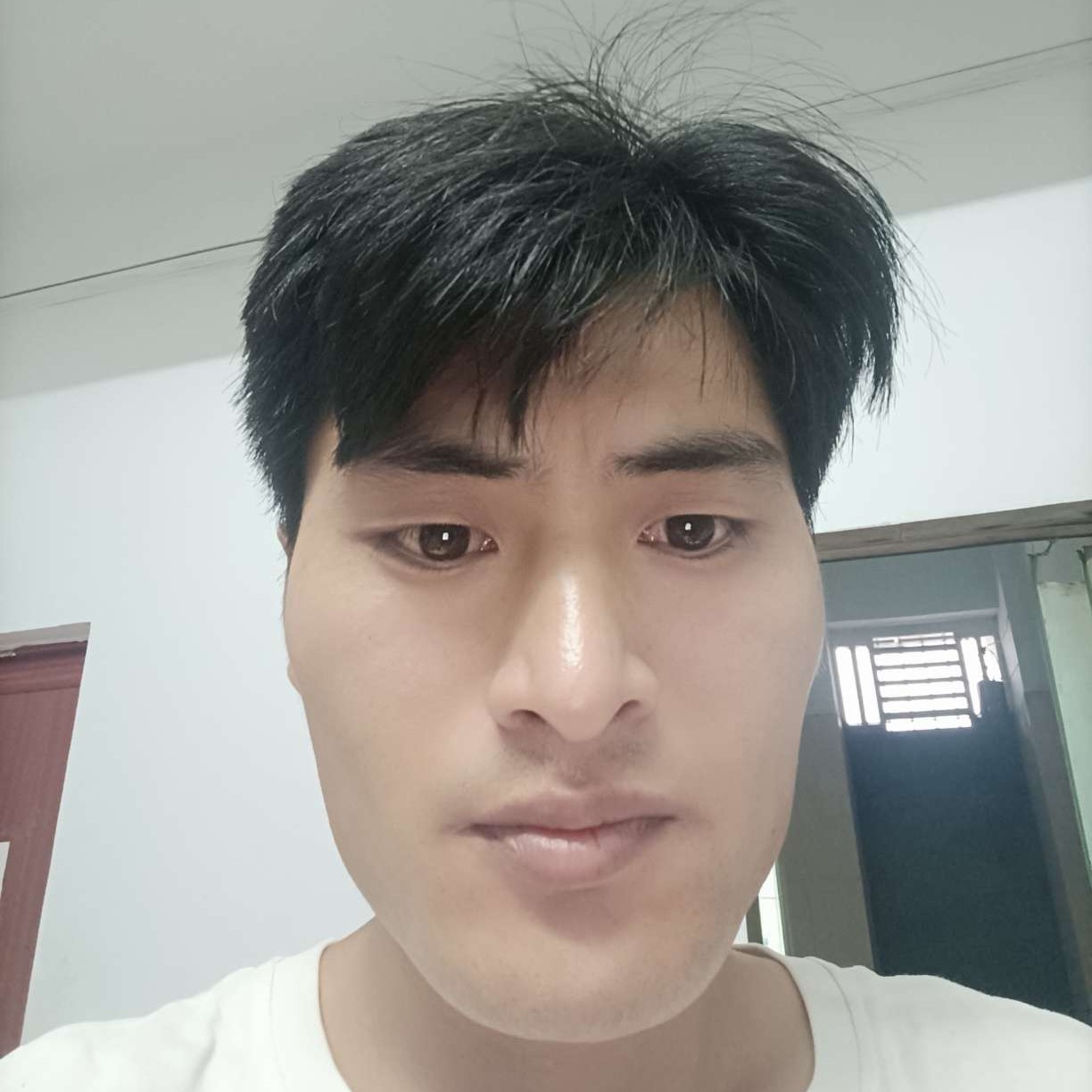 多情深拥小刺猬的照片