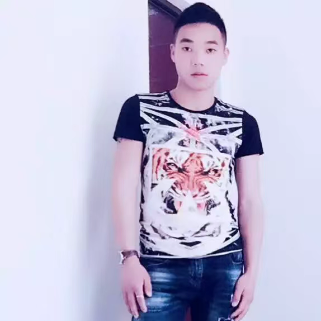鳗鱼相许狗的照片