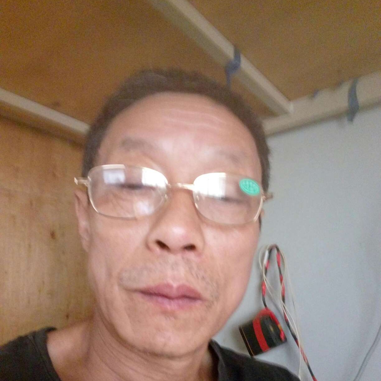 情动向风中的照片