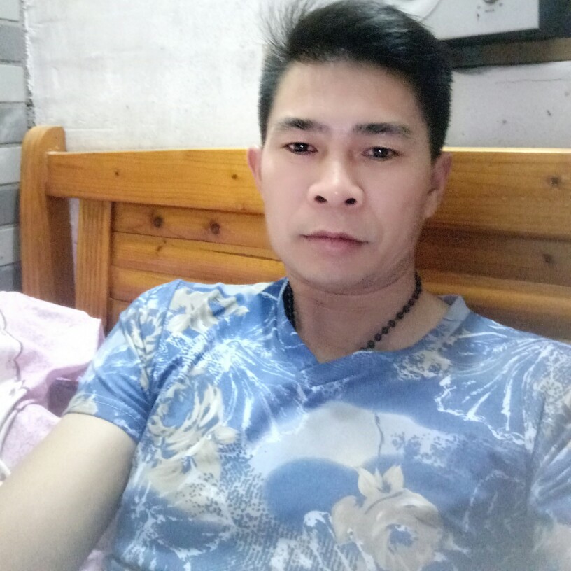 柠檬蹁跹迷路的照片