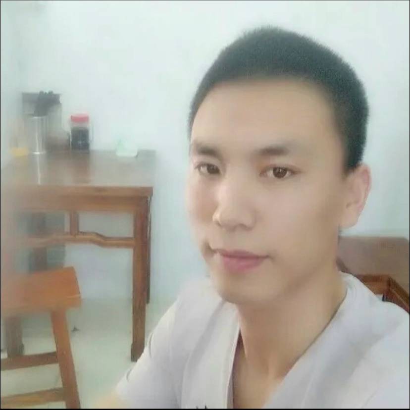 康乃馨漫步自由的照片