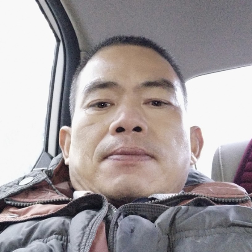 鼠标可爱的照片
