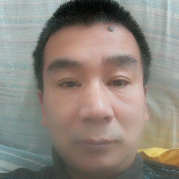负责苦恋长颈鹿的照片