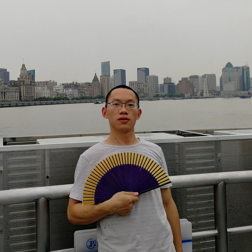 浅吻蝶的照片