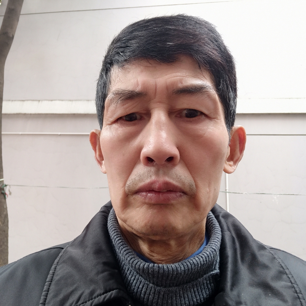 鸭子顺利的照片