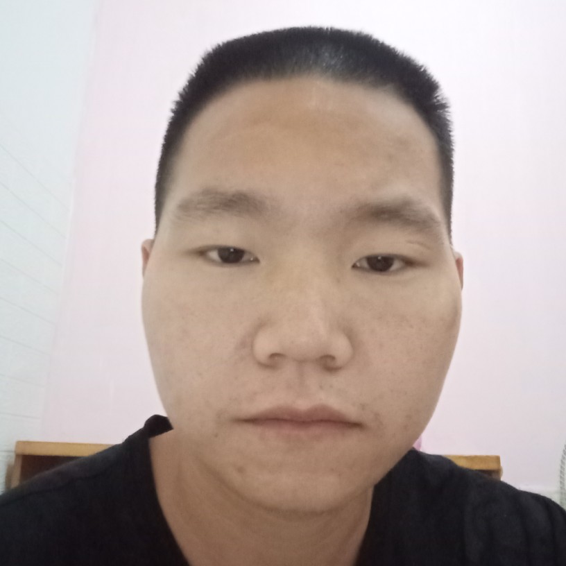 贤惠愿河马的照片