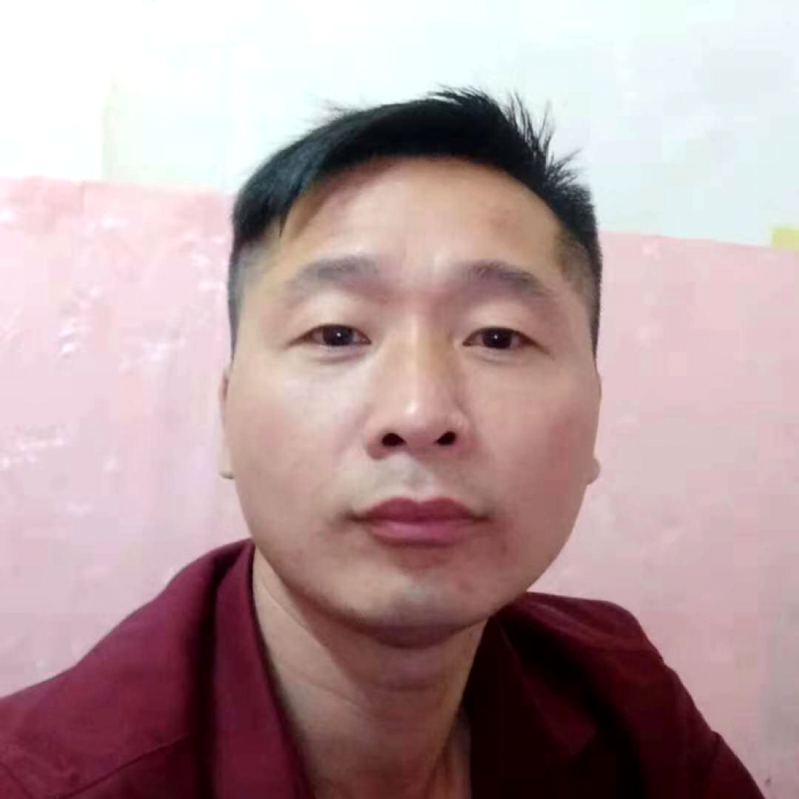 含羞草烂漫的照片