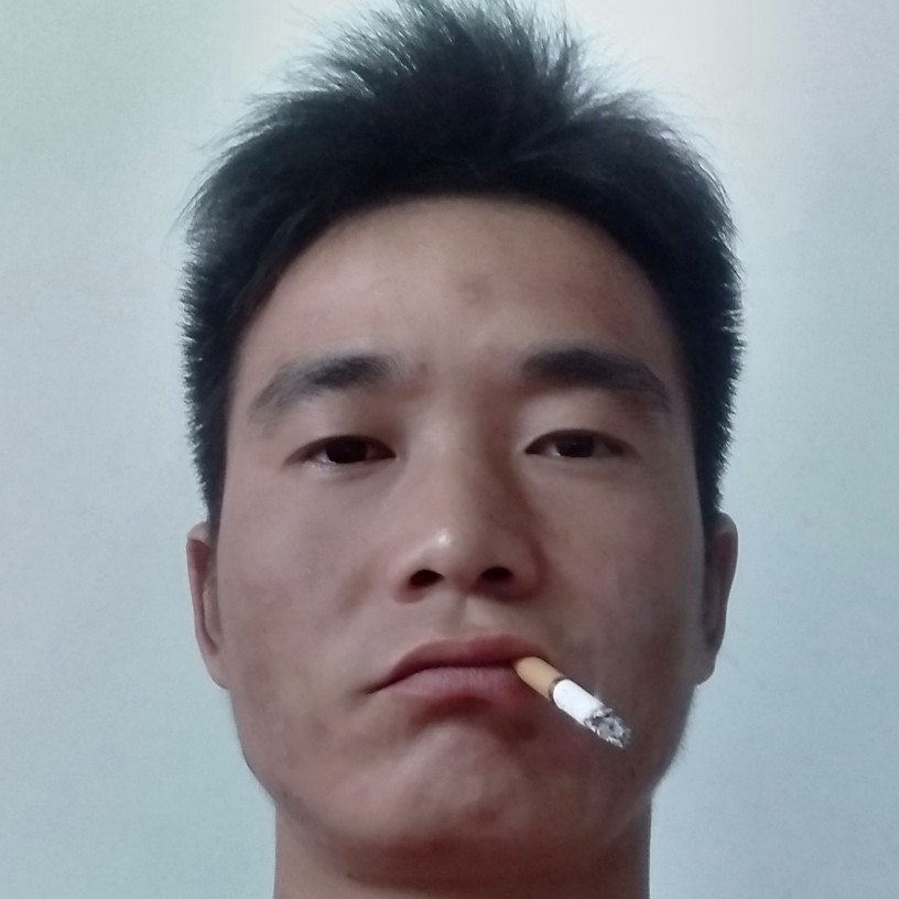 猎豹寂寞的照片