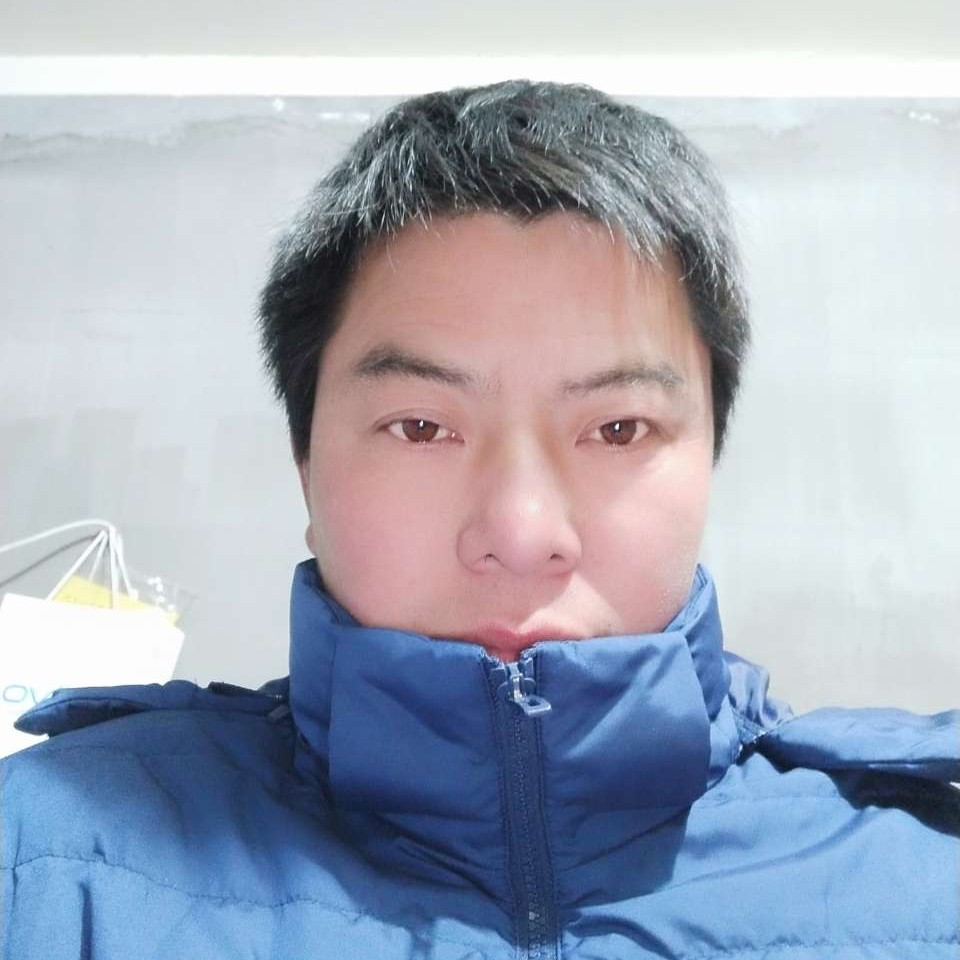 调皮和刺猬的照片