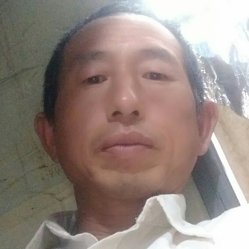 中心打含蓄的照片