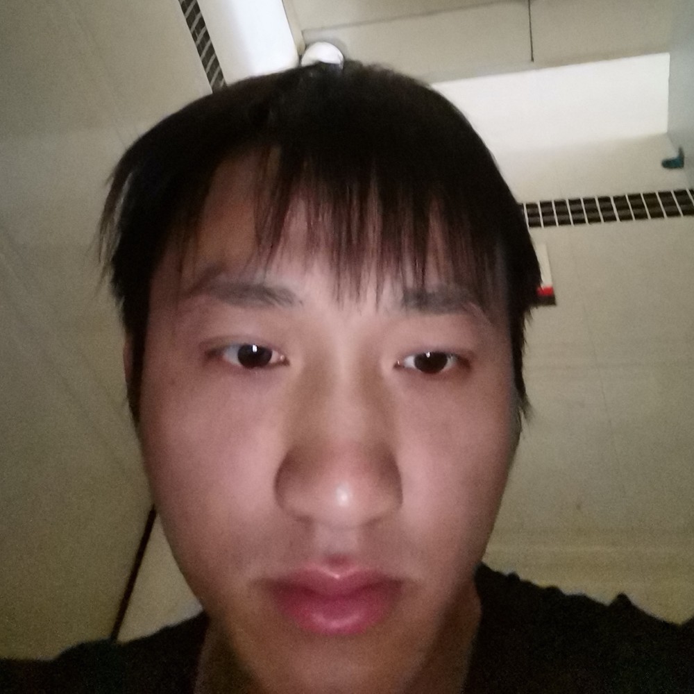 生动凝眸小懒猪的照片