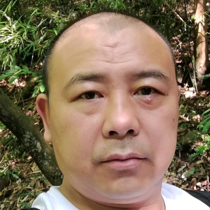 魁梧拾忆蜜蜂的照片