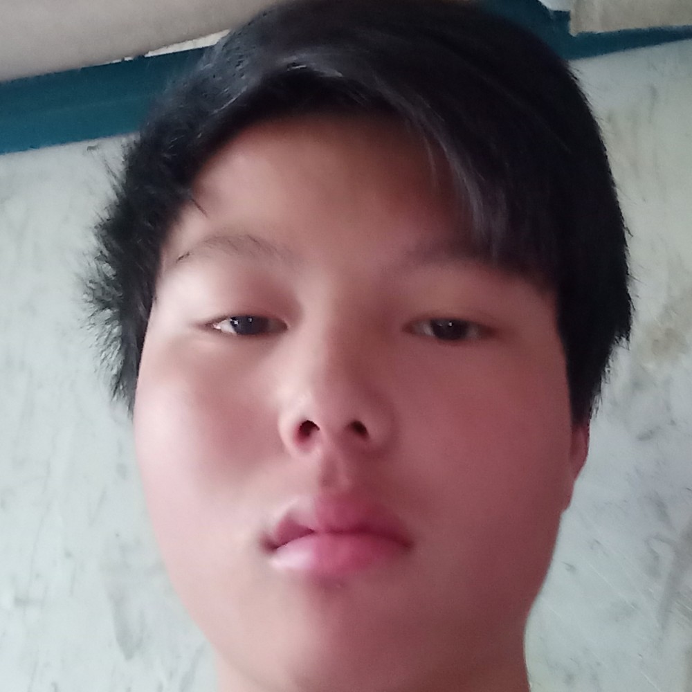 老虎轻松的照片