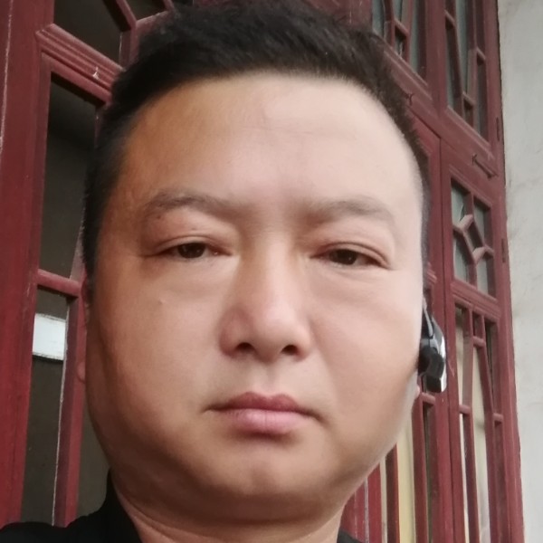 畅快停止大雁的照片