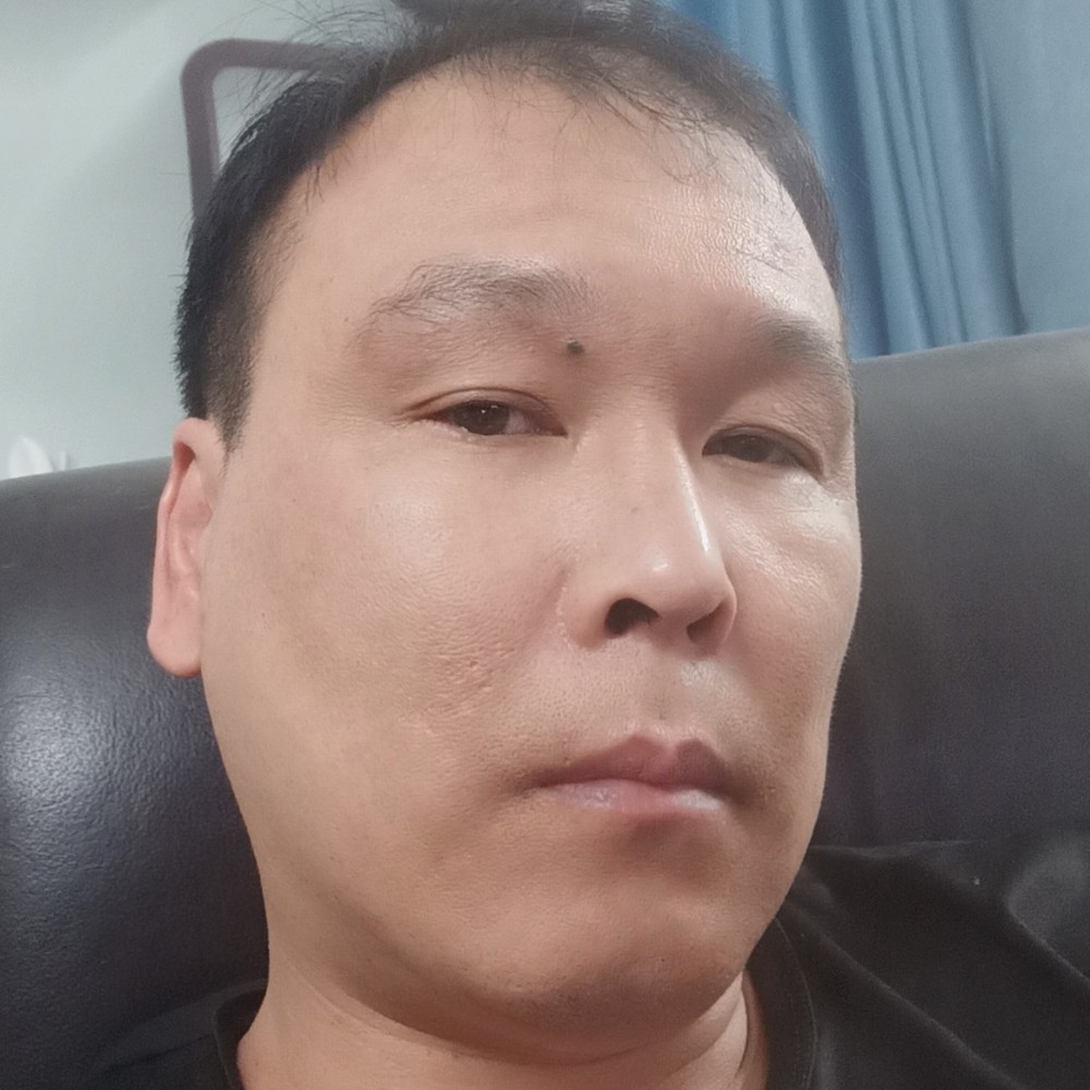 忧郁爱恋刺猬的照片