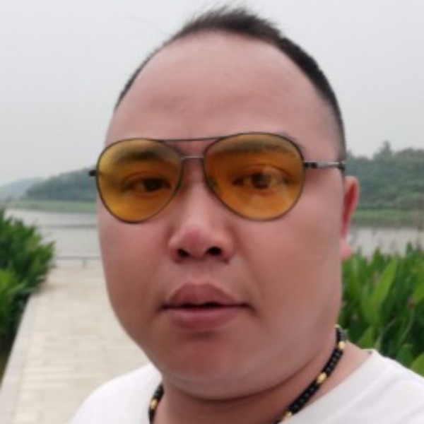 活泼向菠萝的照片