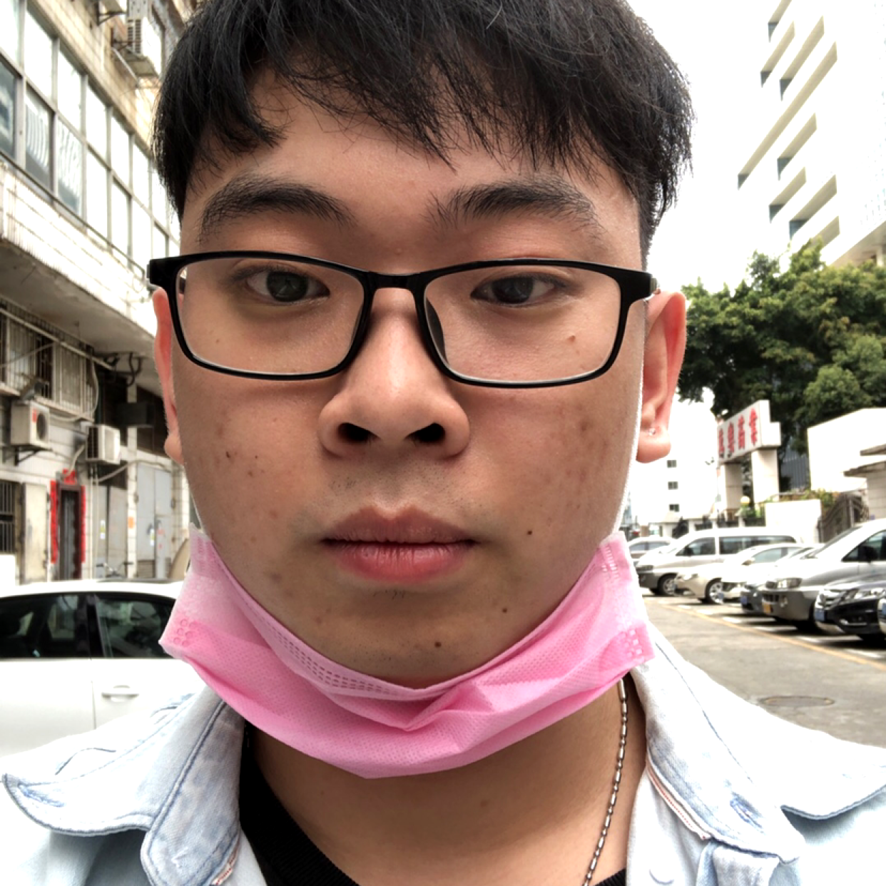 甜蜜的树叶的照片