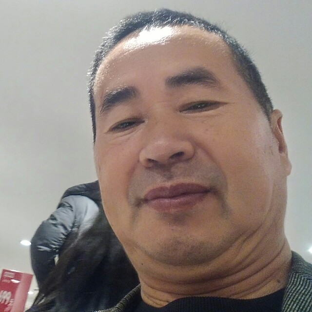 呆萌用发带老马的照片