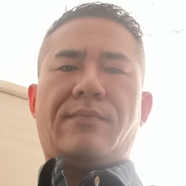 鼠标漫步呆萌的照片