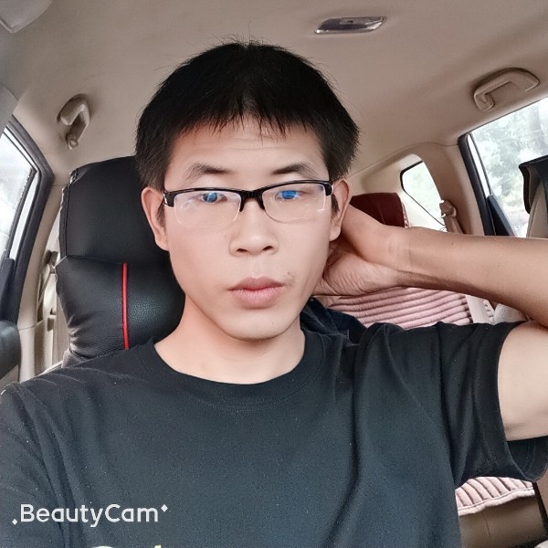 母鸡漫步可爱的照片
