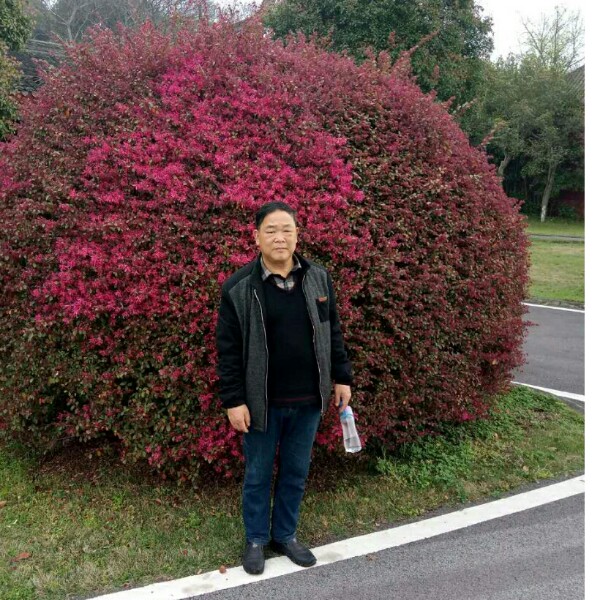 杨晓华，的照片