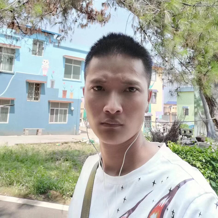 小蜜蜂那精明的照片