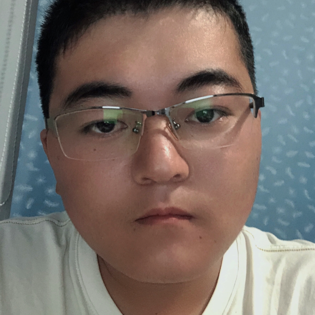 一个傻子。的照片