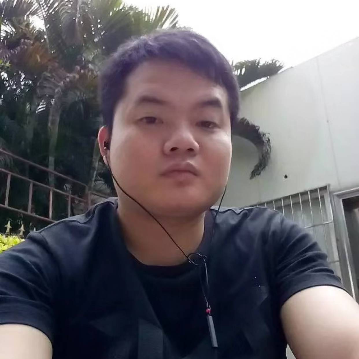 小蝴蝶向着急的照片