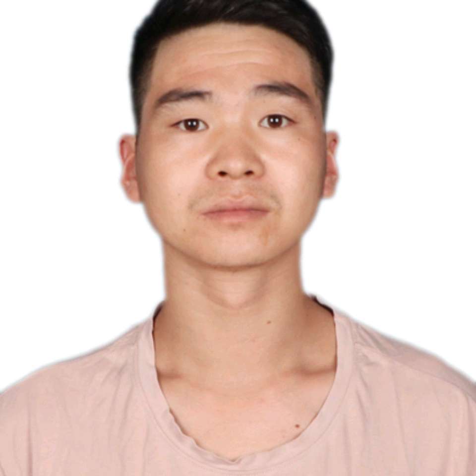 饼干爱迷路的照片