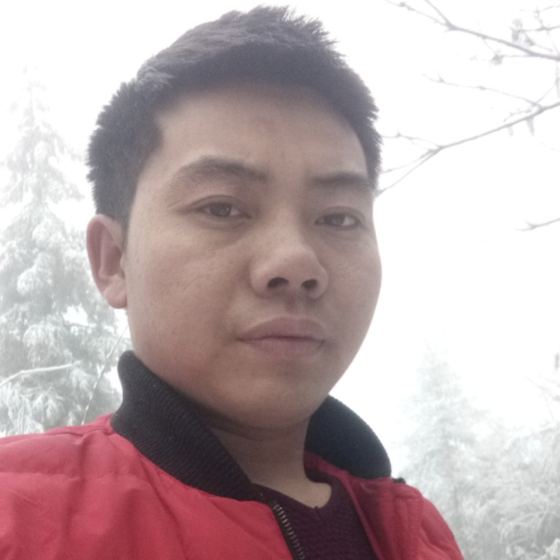 要减肥金毛的照片