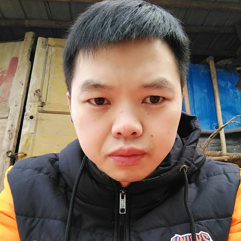 酷炫灰狼的照片