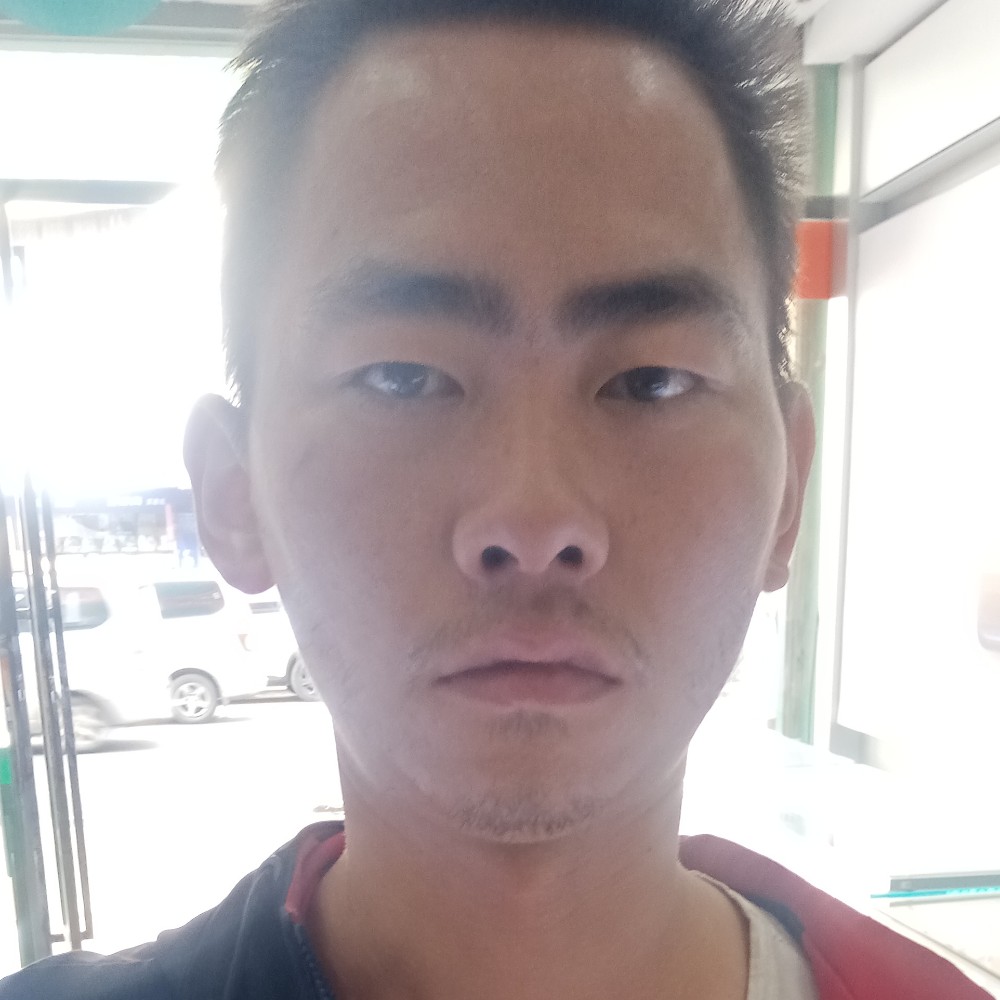 大树放弃积极的照片