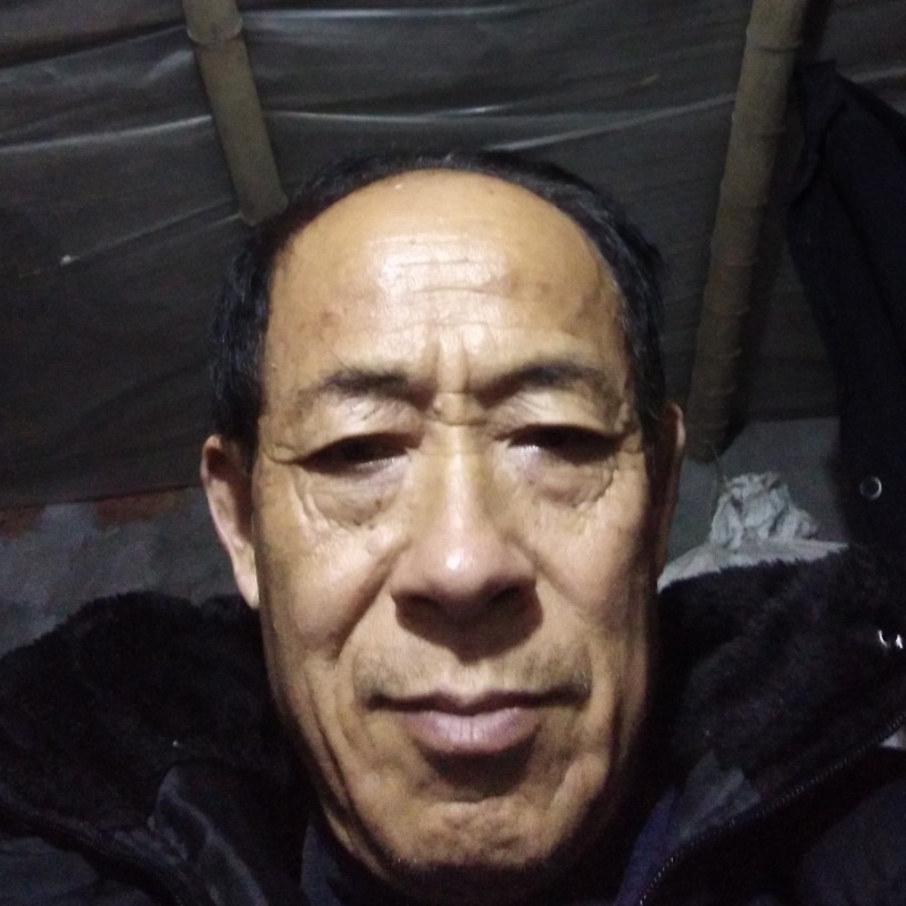 松竹梦梅的照片