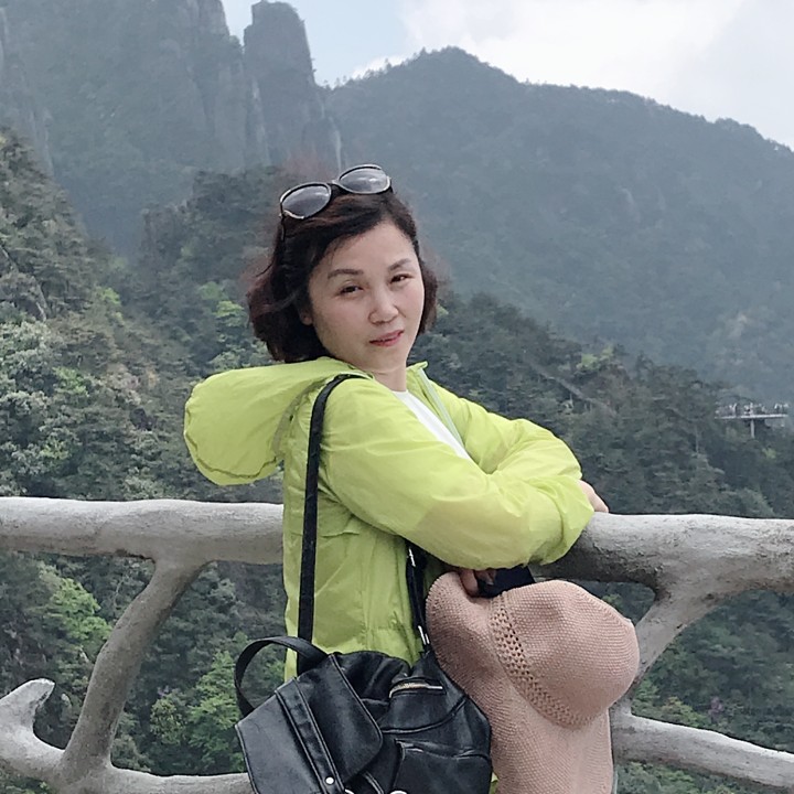 康乃馨甜美的照片