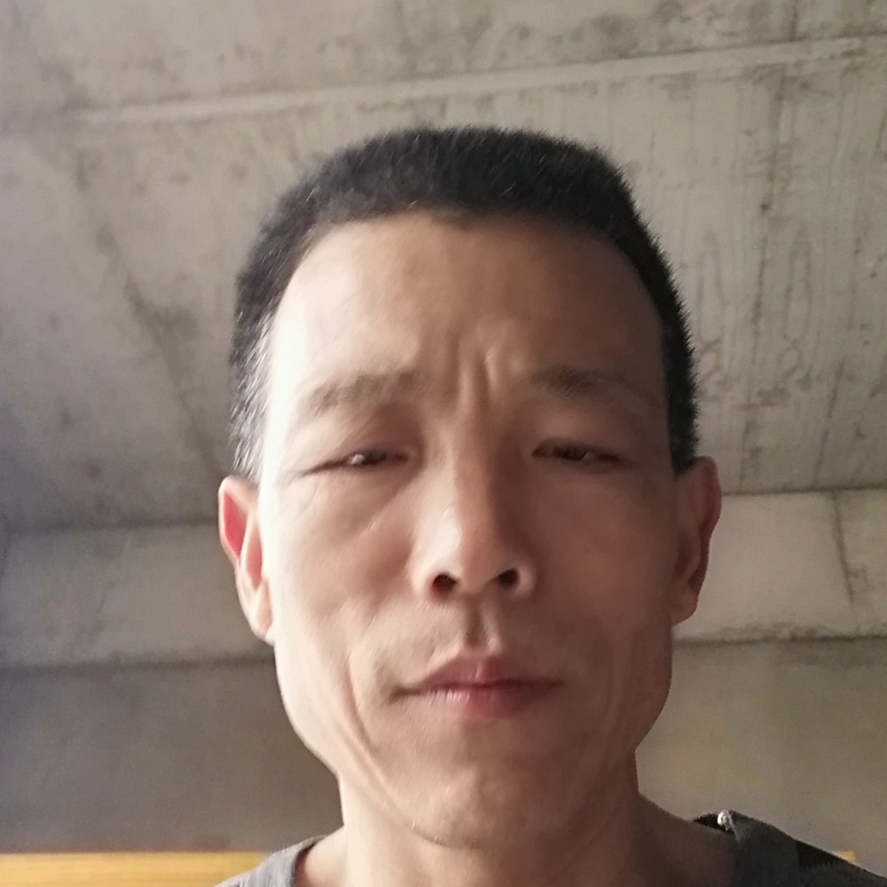 芹菜可爱的照片