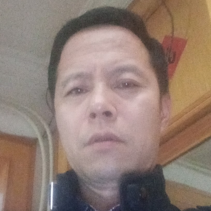 迅速鸡的照片