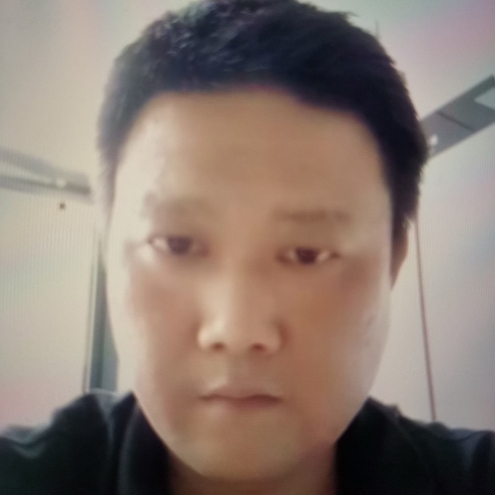 鲤鱼用石头的照片