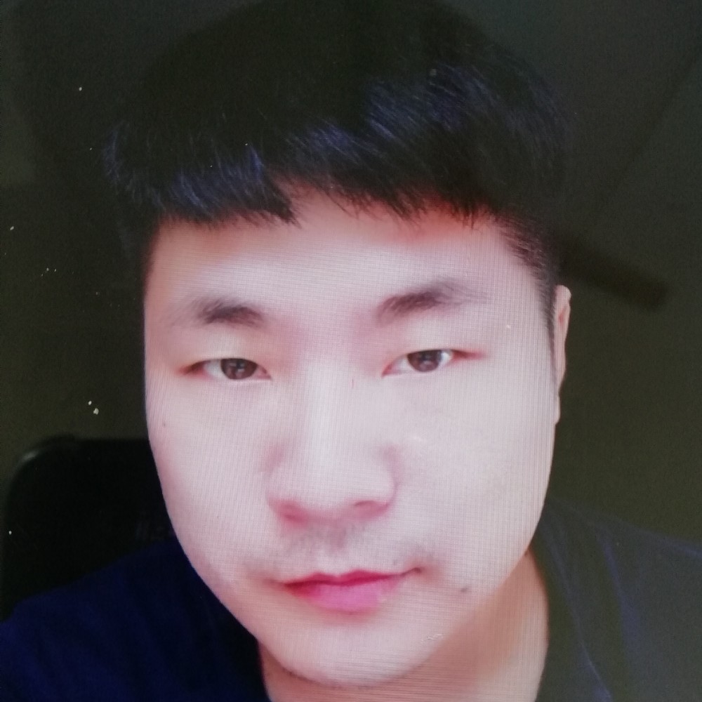 伏特加的猫的照片
